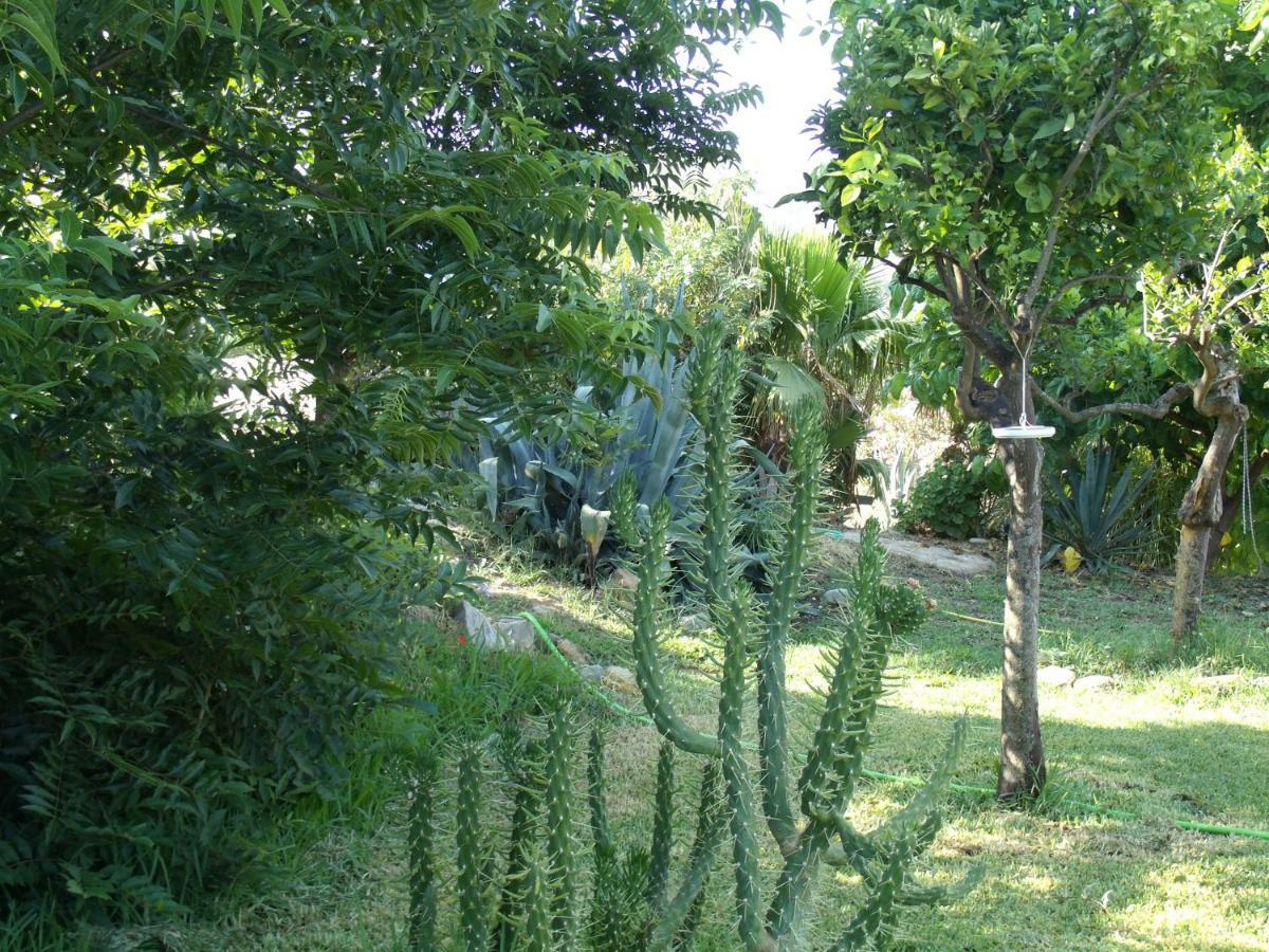La Finca Blanca Alora Dış mekan fotoğraf