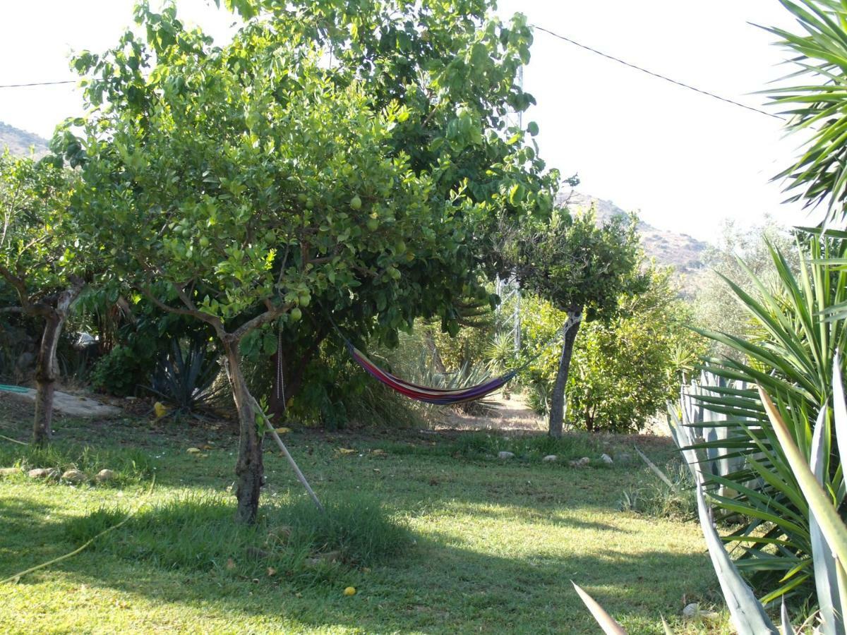 La Finca Blanca Alora Dış mekan fotoğraf
